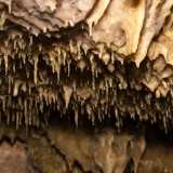 Luccicano sotto le nostre luci, mentre tutt'intorno � un allegro risuonare di gocce d'acqua che cadono ritmicamente dall'alto e scandiscono il tempo dei nostri respiri